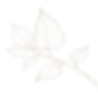 Traditional Medicine Image bottom