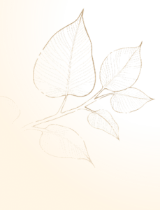 nhat ha la